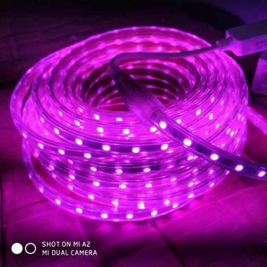 Lampu Led strip Led Lis Plafon 15 Meter siap pakai Lampu selang 10 meter purple