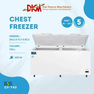Chest Freezer Rsa Cf-740 Freezer Box Frozen Food Multicolor