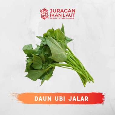 Daun Ubi Jalar Segar Berkualitas - 1 Ikat