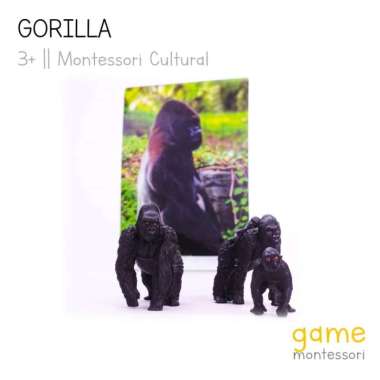 montessori cultural wild animal gorilla