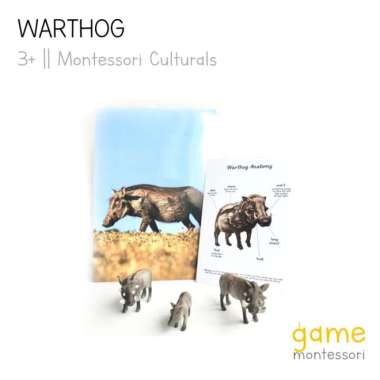 montessori cultural wild animal warthog