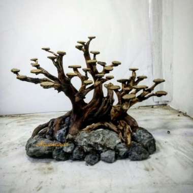 Hardscape bonsai aquascape Multicolor