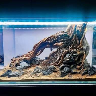 hardscape aquascape 30 cm tank akuarium Multicolor