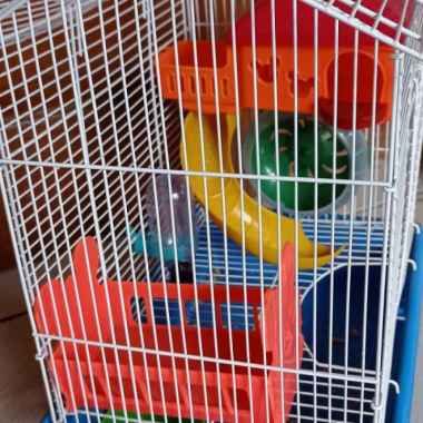 kandang hamster lengkap Varian Based Information