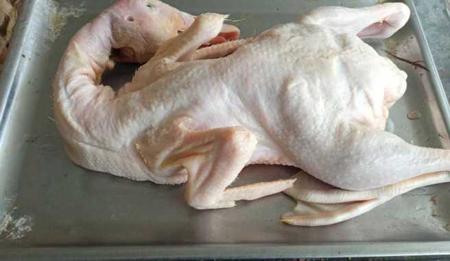 bebek peking frozen berat 1,1kg berat bersih/tanpa jeroan/bebek murah/bebek peking potong/