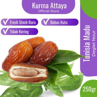 Fresh Kurma Tunisia Madu Premium Non Tangkai Ruthob Tunisia 250 gram - 500gr 250gr