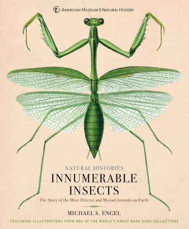 Ebook - Innumerable Insects
