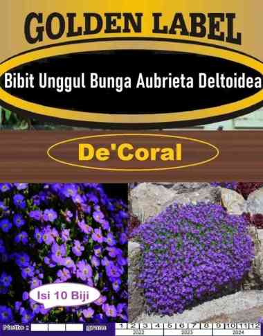 Bibit Bunga Aubrieta Deltoidea|Bunga-bunga Kecil Ungu|Benih Aubrieta
