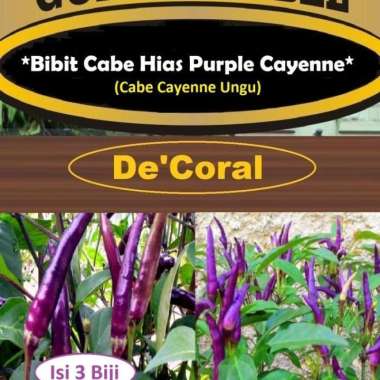 Bibit Cabe Hias Purple Cayenne|Benih Cabe Cayenne Ungu|Bibit Cabe Ungu