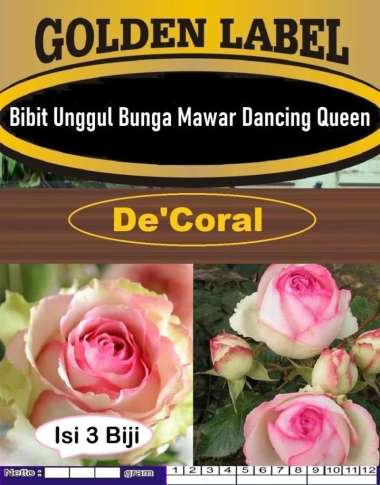 Bibit Unggul Bunga Mawar Dancing Queen|Biji Benih Mawar Dancing Queen
