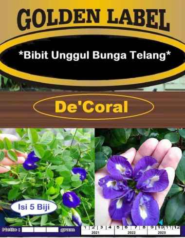 Bibit Unggul Bunga Telang |Benih Kembang Telang |Bibit Kembang Telang