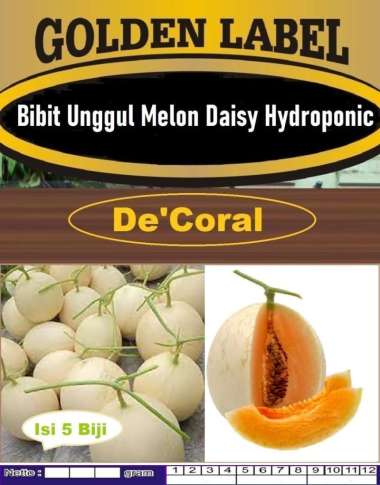 Bibit Unggul Melon Daisy Hydroponic | Benih Melon Daisy Hydroponic