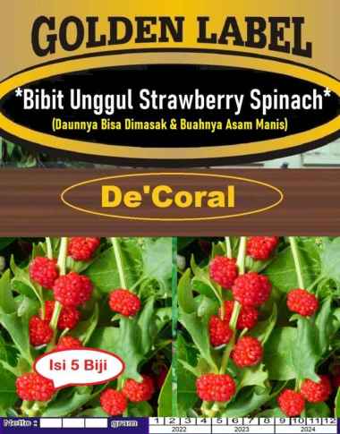 Bibit Unggul Strawberry Spinach | Benih Stroberry Spinach|Straberry