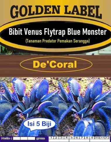 Bibit Venus Flytrap Blue Monster | Bibit Tanaman Pemakan Serangga