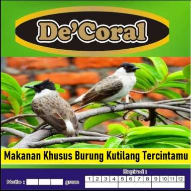 Makanan Khusus Burung Kutilang|Makanan Kutilang|Pakan Burung Kutilang