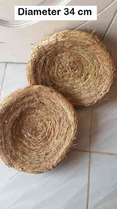 Sarang Ayam Bertelur |Tempat Ayam Bertelur | Telur