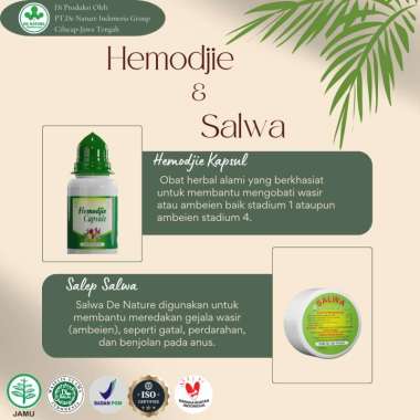 Hemodjie Salwa De Nature Senjata Ampuh Melawan Ambeien