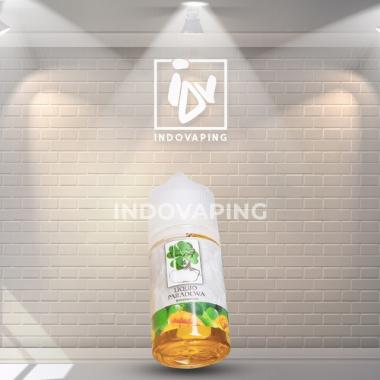 Liquid Vapor Vape - Paradewa Mangga Hera Saltnic 30mg 30ml By RCraft
