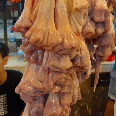 Iso Usus Sapi Segar Fresh Lokal