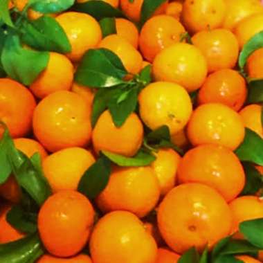 Jeruk Santang Madu Buh Segar Ibaza fruitsBOX - 1 kg Buah Jeruk Santang Madu