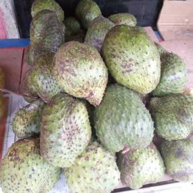 Buah Sirsak per buah