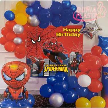 1 Set Paket balon DEKORASI FROZEN SPANDUK ulang tahun pesta birthday anak (KELENGKAPAN DEKORASI SESU