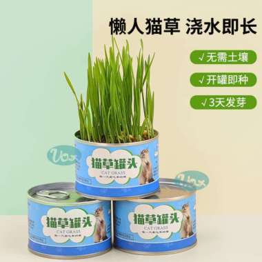 Cat Grass Can Tanaman Rumput Kucing Paket Lengkap Wheatgrass