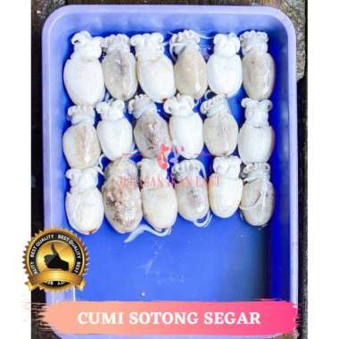 Cumi Sotong Segar - 1 Kilogram JABODETABEK KECIL