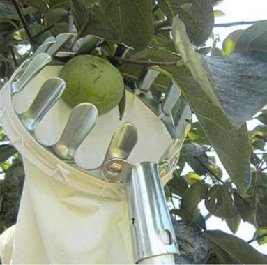 metal fruit picker - mata galah panen buah Multicolor