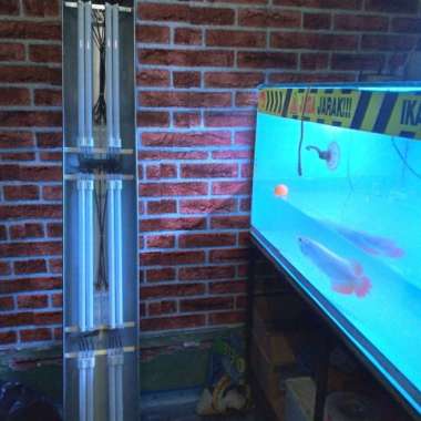 Lampu tanning arwana 6 pll 827 Multicolor