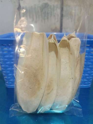 Tulang Sotong +-15 cm Cangkang Cumi Calsium Untuk Burung Lovebird Falk 100 gr