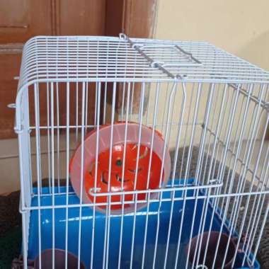 kandang hamster lengkap promo Varian Based Information