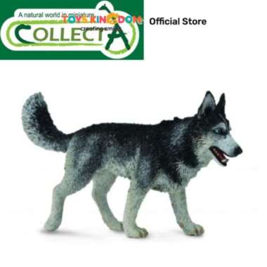 Collecta Figure Siberian Husky 88707