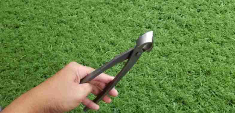 KREKUT ATAU CATOK BONSAI Miring