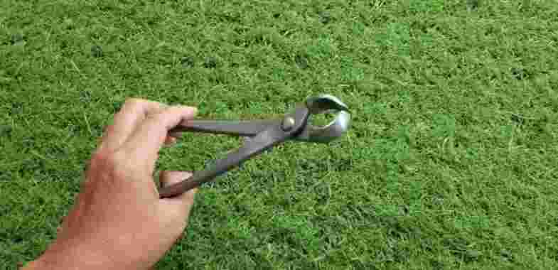 KREKUT ATAU CATOK BONSAI Cembung 21cm