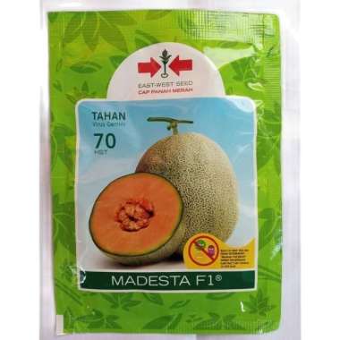 FreeOngkir 40 Butir Benih Bibit Unggul Melon Manis Hibrida Madesta F1