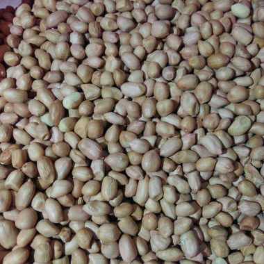 KACANG TANAH KEMASAN KILOAN (1000 gram | 1 kg) - PEANUTS by HasanMart