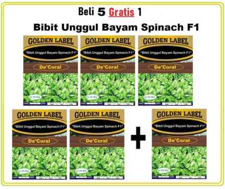 Beli 5 Gratis 1 Bibit Unggul Bayam Spinach F1 | Benih Bayam Brazil