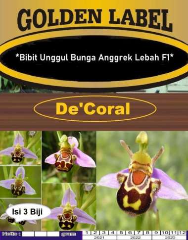 Bibit Bunga Anggrek Lebah F1 Anggrek Langka |Benih Bunga Anggrek Lebah