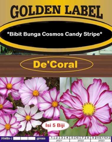 Bibit Bunga Cosmos Candy Stripe|Benih Bunga Cosmos Candy Stripe |Aster