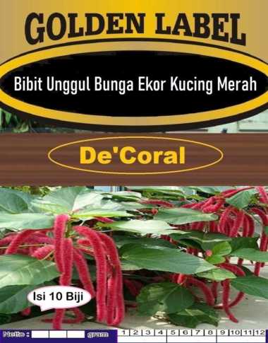 Bibit Bunga Ekor Kucing Merah | Biji Benih Bunga Ekor Kucing Merah