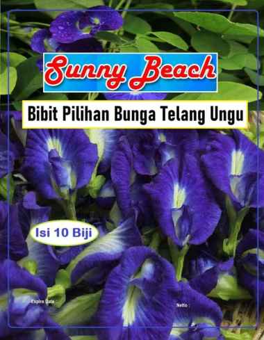 Bibit Pilihan Bunga Telang Ungu | Benih Kembang Telang |Bibit Teleng