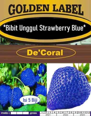Bibit Strawberry Blue | Benih Strawberry Biru| Bibit Strobery Biru