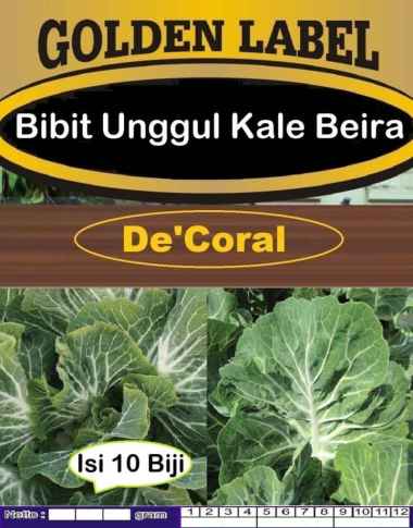 Bibit Unggul Kale Beira | Biji Benih Kale Beira | Kale Laut