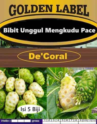 Bibit Unggul Mengkudu Pace | Biji Bibit Buah Mengkudu | Benih Mengkudu