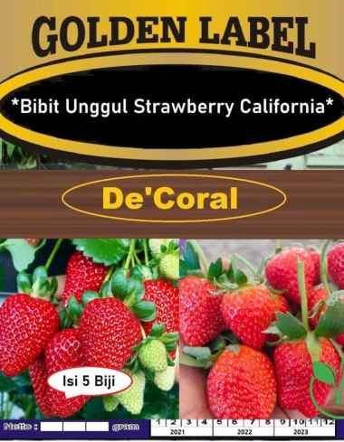 Bibit Unggul Strawberry California | Benih Stroberi California