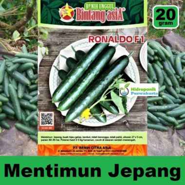 Benih Mentimun Timun Jepang Ronaldo F1 20 gram Cap Bintang Asia