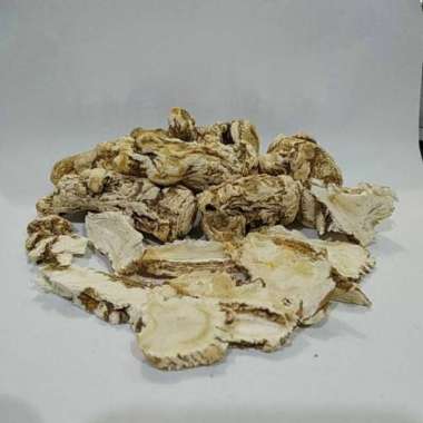 100Gr Dang Gui Tou Premium / Tang Kui Thau / Tongkui Tong Kui