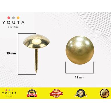 PAKU MATA KUCING PAKU PINES GOLD