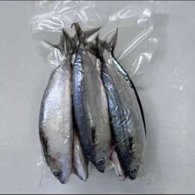 Ikan Kembung Banjar / Ikan Kembung 1 Kg